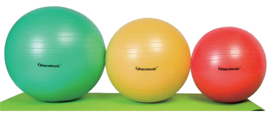 REHABILITATION BALL